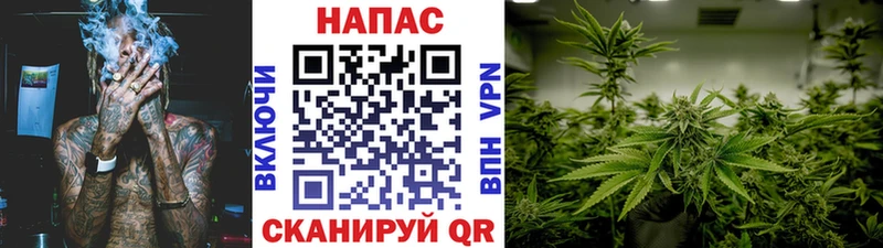 МАРИХУАНА SATIVA & INDICA Кедровый